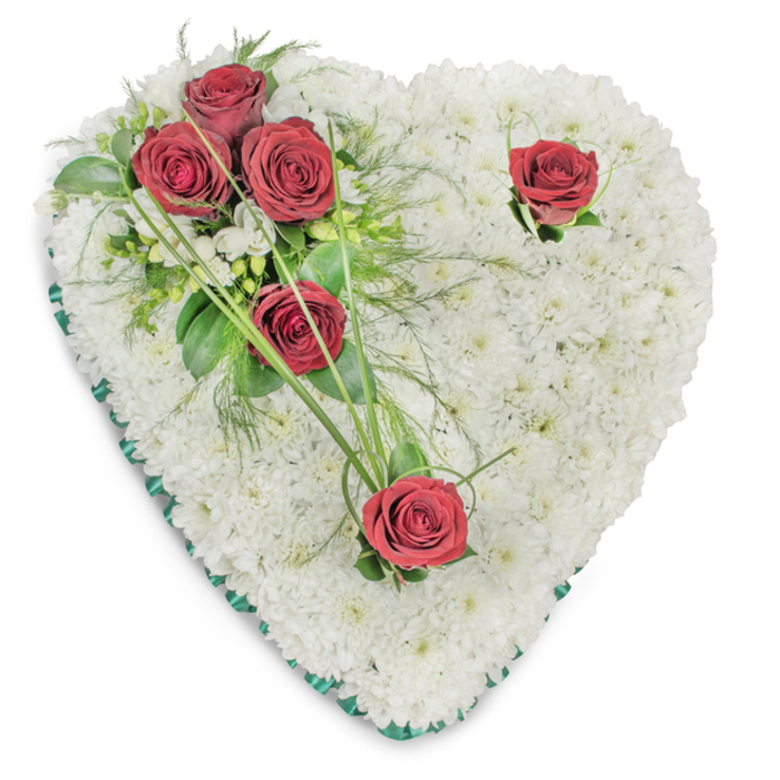 An elegant, heart-shaped funeral tribute composed entirely of immaculate white chrysanthemum blooms, each tiny flower tightly grouped to form a plush, tactile surface that reads as stillness and repose. A diagonal emphasis begins in the upper left with a trio of intense, deep red roses clustered together - their layered petals opening like velvet bowls - surrounded by glossy ruscus leaves and delicate fern-like fronds that soften the transition to the white field. Bright, arching blades of bear grass weave through the grouping, creating graceful lines that guide the gaze toward two solitary red roses placed with care: one near the right shoulder of the heart and the other poised at the lower point. These single roses are afforded modest green accents so their individual symbolism - love, respect, and mourning - can stand clearly. The whole heart is defined by a narrow emerald-green satin ribbon that traces the edge, adding a cool, solemn frame against the pristine chrysanthemum blanket. Soft overhead lighting reveals subtle shadows between blooms and along the ribbon's sheen, suggesting depth and the hand-wrought attention of a florist's touch. Presented on a clean white background, the arrangement reads with calm authority - a traditional memorial piece commonly seen at services near the Thames and local churches around Millbank and Pimlico. It is composed to offer quiet consolation: restrained colour, considered texture, and an overall impression of reverence and enduring affection for the person being honoured.