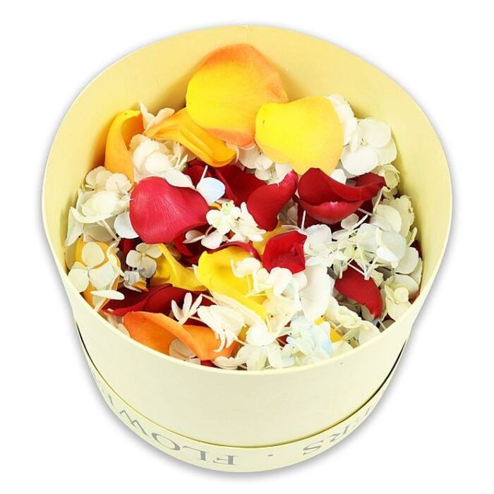 A minimalist studio setting frames this tender arrangement: a cylindrical hatbox in pale cream-yellow sits centred against a spotless white background, overflowing with an opulent layer of dried petals and small blossoms. The box has clean lines and a sturdy, paperboard construction, its soft butter-cream hue catching light in a gentle, even way. Along the upper edge, the faintly debossed word FLOWERS can be discerned, its understated lettering reinforcing the box's purpose without drawing focus from the contents. Within, the petals are densely packed and gently domed, creating a sense of abundance and care. Deep crimson rose petals provide a rich foundation, their velvety surfaces folding and curling in organic shapes. Interspersed with these are vibrant yellow petals that add brightness, and warm peach-orange tones that soften the palette. Threaded through the entire mix are countless tiny white hydrangea-like florets, their papery petals forming delicate clusters that read as soft, cloud-like patches against the bolder colours, with the slightest suggestion of pale blue in a few blossoms. The careful preservation is visible in the intact edges and natural, slightly muted tones, giving an impression of quiet quality. Captured from a slightly elevated perspective, the photograph invites the eye to travel across the surface of the petals, free from any additional décor, creating a thoughtful, unembellished tribute. This petal blend would be well suited to a funeral service or commemoration near Millbank, perhaps scattered gently at a graveside, laid around an urn or framed portrait, or placed in a memory bowl during a wake, offering a subtle, tactile way for mourners to express farewell.